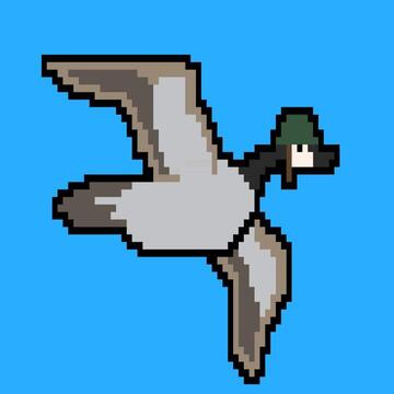 Goose on the Loose