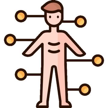 Human Body Parts
