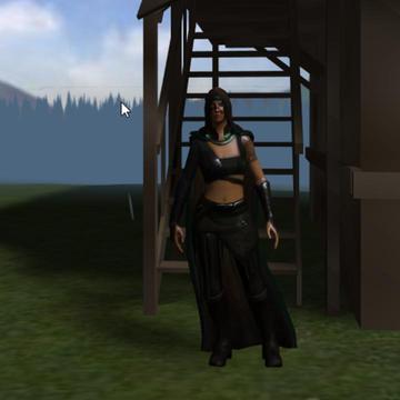 The 5 seals MMOrpg