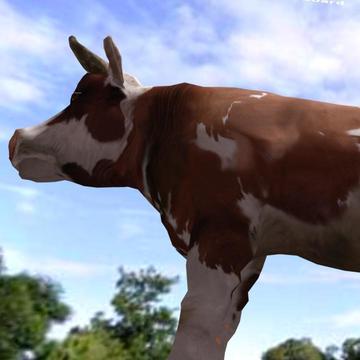 HTC Vive Cow