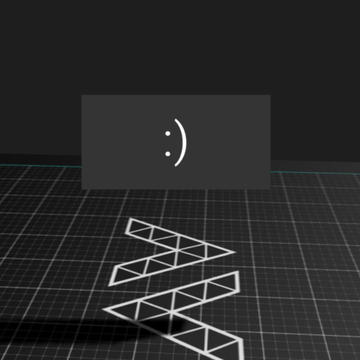 Face camera