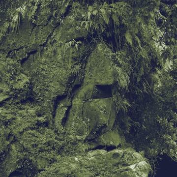 Rostro Harakbut-Krisber Aguilar