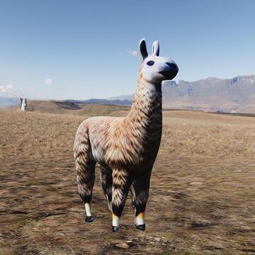 Llama