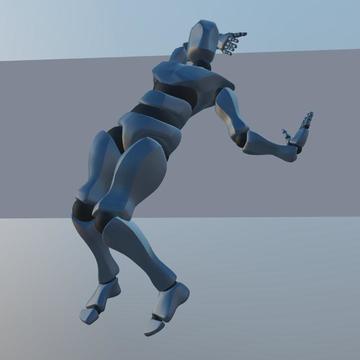 Ragdoll